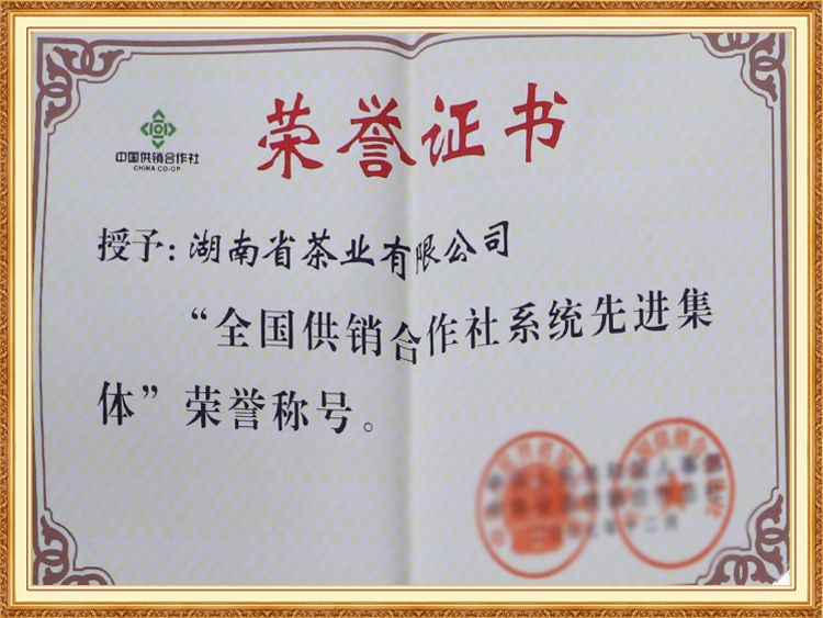 全國供銷合作社係統先進集體（tǐ）