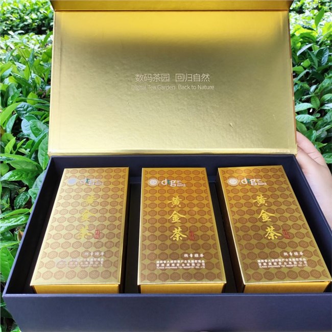 240G黃（huáng）金茶
