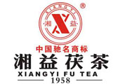 廣西壯（zhuàng）族自治區副主席張秀隆一行考察（chá）湘益（yì）茯茶